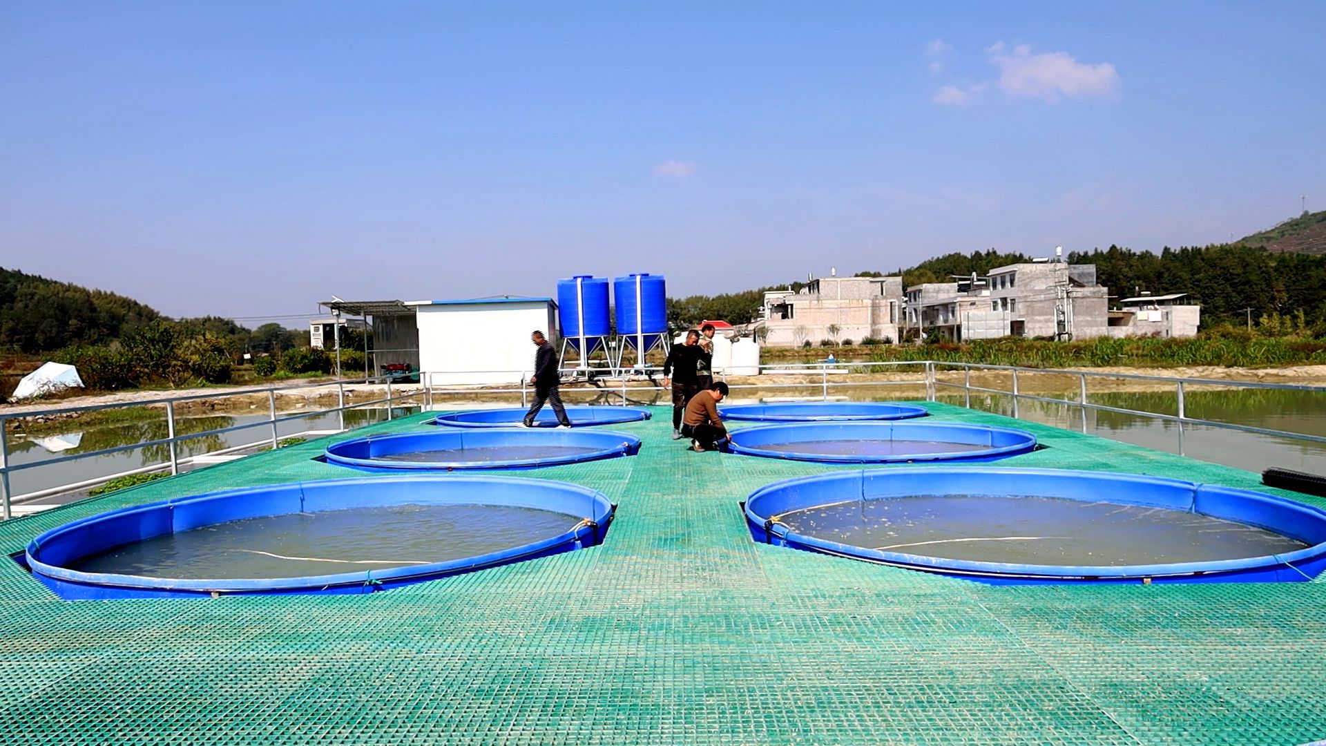 ras循環(huán)水,水產(chǎn)養(yǎng)殖擺脫抗生素的新希望!