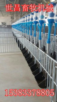 世昌養(yǎng)豬設(shè)備廠供應(yīng)料線豬用自動料線,世昌養(yǎng)豬設(shè)備廠供應(yīng)料線豬用自動料線生產(chǎn)廠家,世昌養(yǎng)豬設(shè)備廠供應(yīng)料線豬用自動料線價格