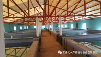 我們要養魚,我們也要環保,工廠化水產養殖系統備受關注