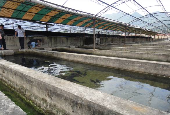 臺灣水產生物科技投資貴州銅仁市水產養殖項目達成合作意向
