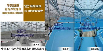 工廠化水產養殖 養魚 養蝦專用池漆