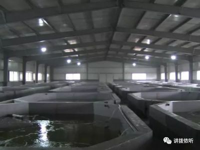 全省首創!這樣的水產養殖方式,你見過嗎?