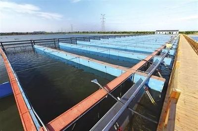 【專題研究】以水為魂、彰顯魅力 --以金湖&ldquo;水漾年華&rdquo;為例分析如何做好&ldquo;水&rdquo;主題園區