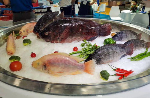 第六屆中國 廣州 國際漁業博覽會今日開幕