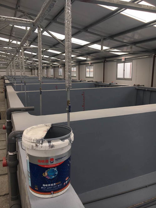 南美白對蝦養殖場刷涂水產漆的重要性