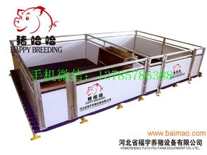 豬哈哈小豬保育欄高床育仔欄廠家直銷,豬哈哈小豬保育欄高床育仔欄廠家直銷生產廠家,豬哈哈小豬保育欄高床育仔欄廠家直銷價格