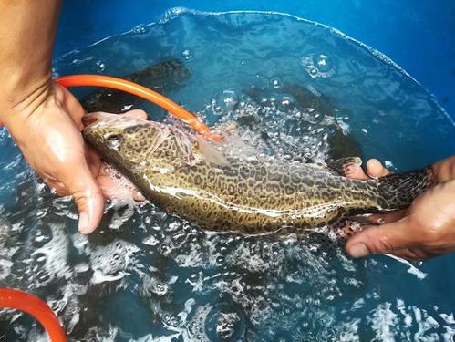 三水區人民政府