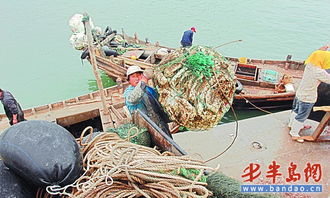 休漁期間養殖海鮮唱主角 水產品價格小幅走低