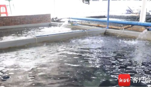 瓊海找準水域灘涂養殖證 梗阻 破解水產養殖戶 辦證難