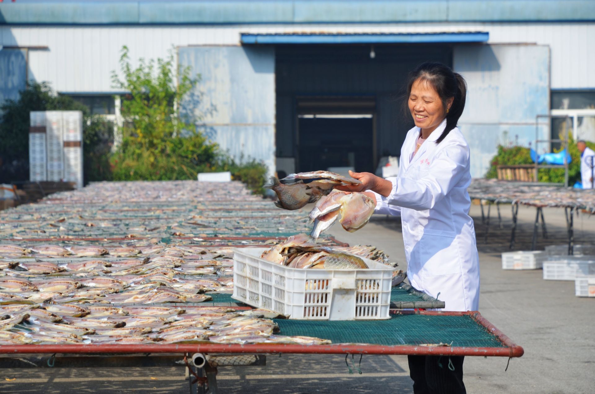 產業聯建提升"造血"功能&mdash;&mdash;梧州盤活村級集體經濟見聞-八桂先鋒網-文