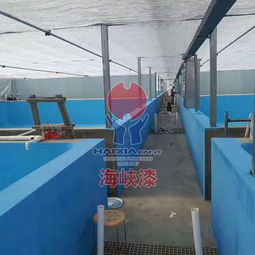 工廠化水產養殖為什么要刷海峽漆水產養殖漆