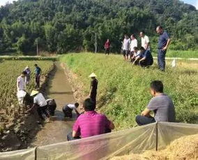 上海海洋大學赴德宏州開展名優水產品稻田養殖技術培訓