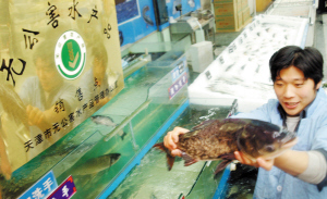 天津:水產品出問題直接找養殖基地