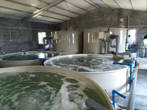 水產養殖設計配置方案時考慮什么