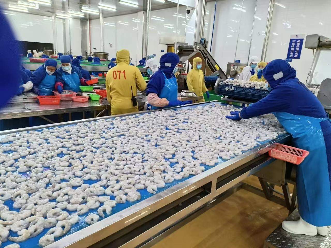 依托水產養殖,在湛江建立了占地8萬平方米的工廠,配置了6條魚類產品