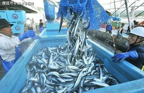 臺灣養殖漁業衰退, 非核家園 埋隱憂