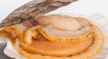 廈門人必須得學(xué)會的海鮮挑選方法,有了它選海鮮再也不為難