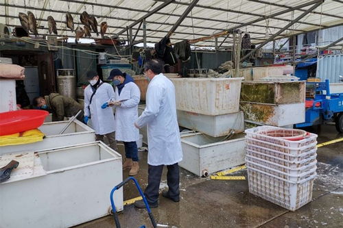 東海所防控疫情專題之七 東海所快速啟動疫情防控期間國家水產(chǎn)品質(zhì)量安全例行監(jiān)測工作