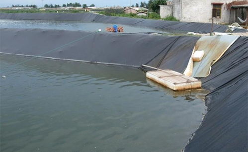 魚塘防滲膜怎么選擇