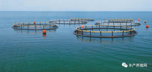 每年20.5公斤,全球人均魚類消費量再創(chuàng)紀(jì)錄!水產(chǎn)養(yǎng)殖業(yè)將繼續(xù)擴張