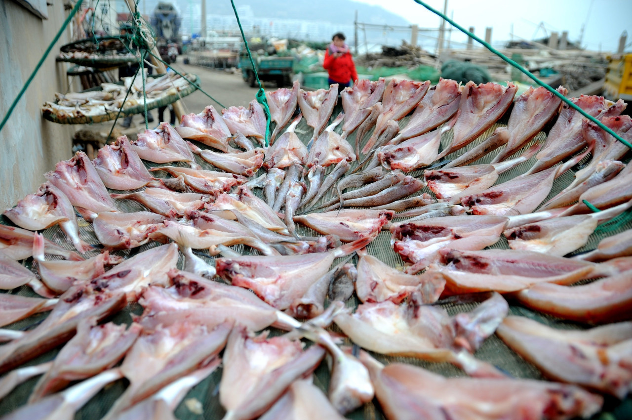 這年頭水產(chǎn)養(yǎng)殖的前景怎么樣?