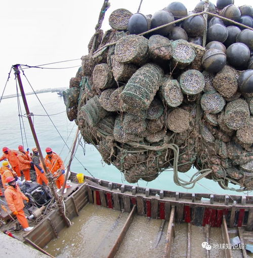 漲知識 沿海人民是如何喂飽中國的