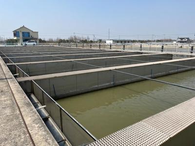 生態(tài)所水環(huán)境治理團(tuán)隊赴上海奉賢區(qū)水產(chǎn)養(yǎng)殖合作社對接交流