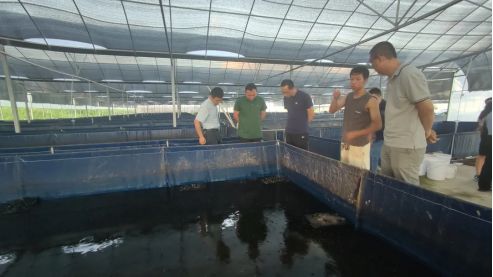 引發全行業圍觀 這里100 循環水養出的蛙究竟有何奧秘