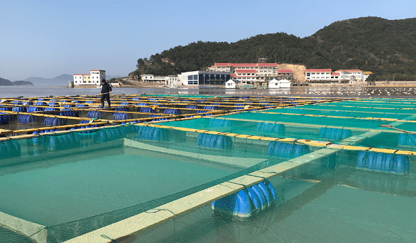 水產肥水產品?水產養殖池塘肥水技術?用好這幾樣_浮游生物.