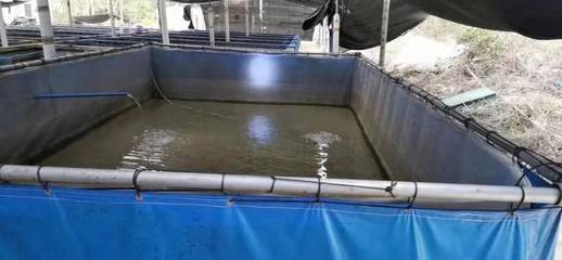 環保養殖帆布水池,水產養殖帆布水池