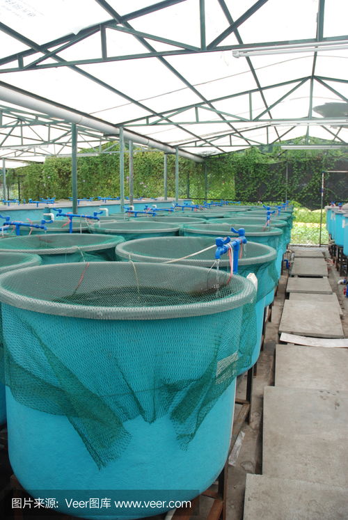農業水產養殖場agriculture aquaculture farm photo