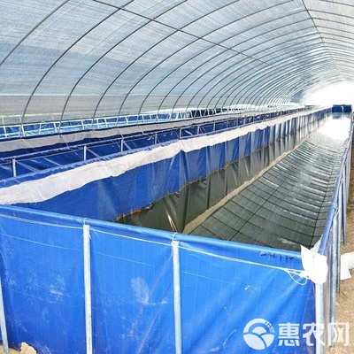 水產養殖網箱 戶外大型養殖園形鍍鋅板帆布魚池高密度養殖池水