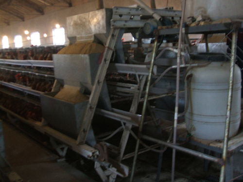 日照養(yǎng)雞設(shè)備 煜鑫畜牧 已認證 養(yǎng)雞設(shè)備