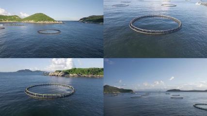 水產養殖水產養殖