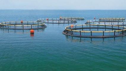 浙江:寧波市奉化區6個水產健康養殖核心 示范基地通過寧波驗收