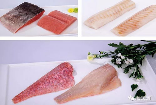 遼寧省莊河市地工產品企業名錄 水產食品加工類