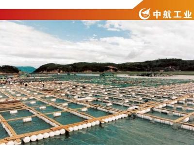 網箱養殖水產品經營分析報告