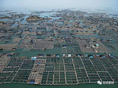 FAO:到2030年全球水產養殖產量將增長近40%