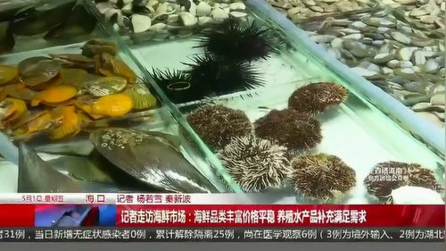 海鮮品類豐富價格平穩 養殖水產品補充滿足需求