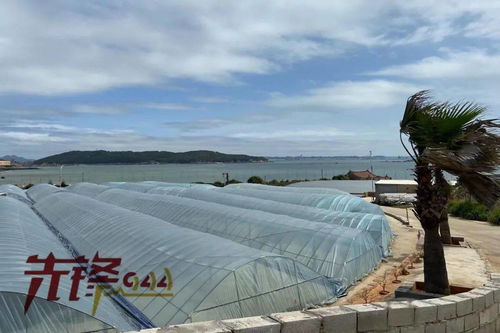 水產品養殖中藥品與飼料添加劑的應用與規范