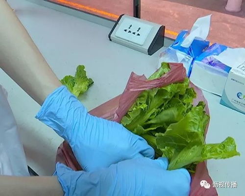 食安生活圈 食品流動檢測車——為您的餐桌安全保駕護航