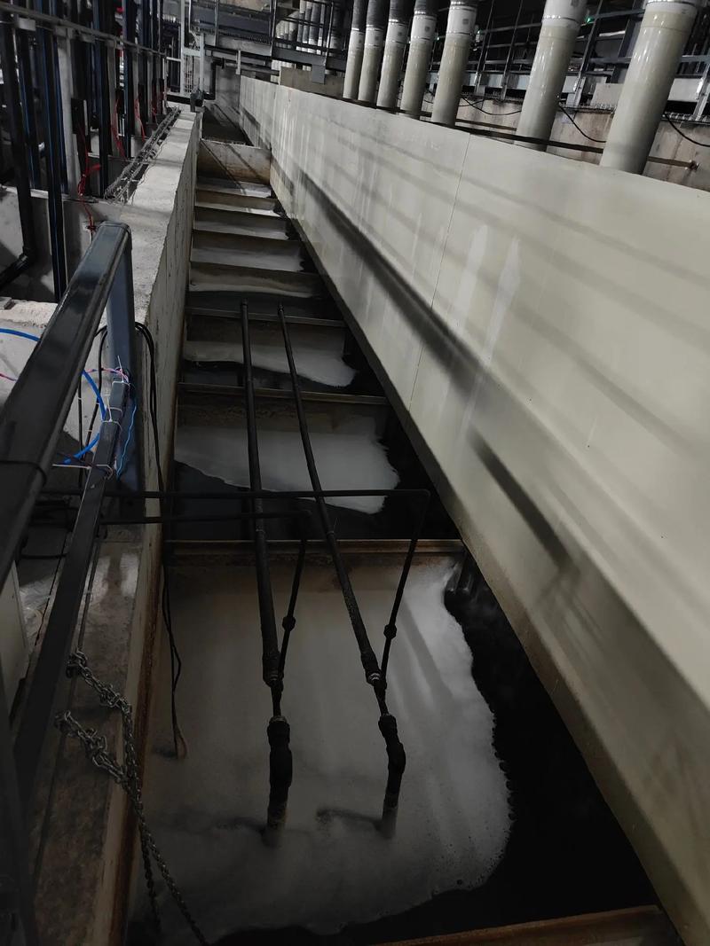 探訪福建匯澤漁業 全球最大單體鰻魚工廠化養殖基地的創新實踐