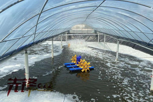 水產品養殖中藥品與飼料添加劑的使用與規范