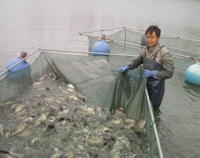 江蘇揚州寶應縣 水產養殖示范戶帶動輻射戶共創致富之路