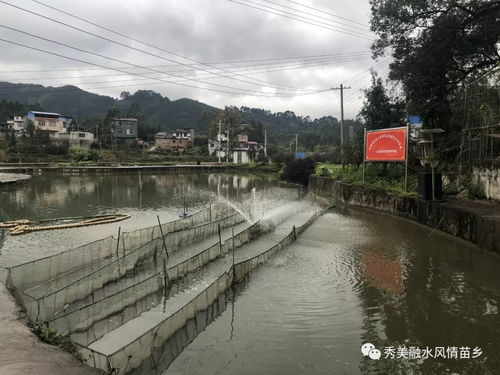 委員風采丨賀曉華 帶頭發展特色產業 帶動貧困群眾增收致富