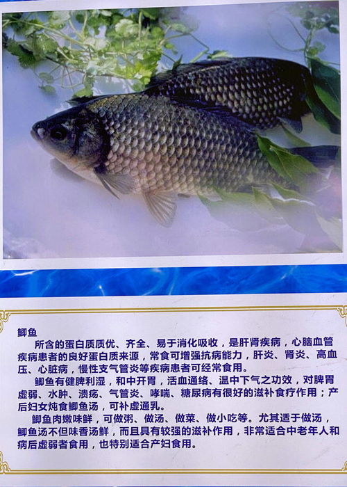 大荔黃河水產館 引領全省水產品養殖的現代化基地