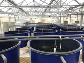 智慧農研時代 優質水產養魚設備供應商如何賦能水產品養殖