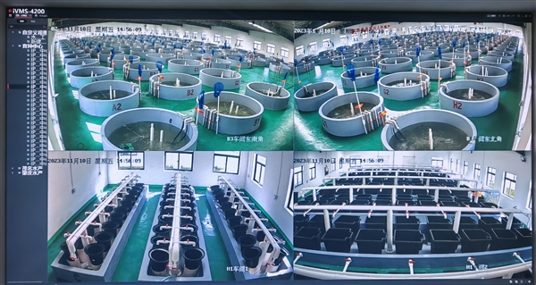 京東以供應鏈與金融科技為翼，助力水產品養殖業提質增效，全年服務收入增長17.8%彰顯實體經濟賦能價值