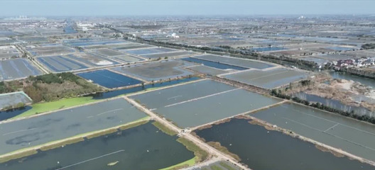 泰州興化 農技專家一線支招，“一池雙養”模式助力水產品養殖增收
