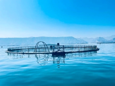 定西市畜牧獸醫局 打造漁業經濟新增長點，助推甘肅現代漁業高質量發展